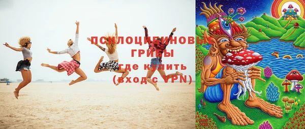 Альфа ПВП Горно-Алтайск