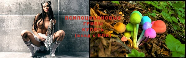 таблы Горнозаводск