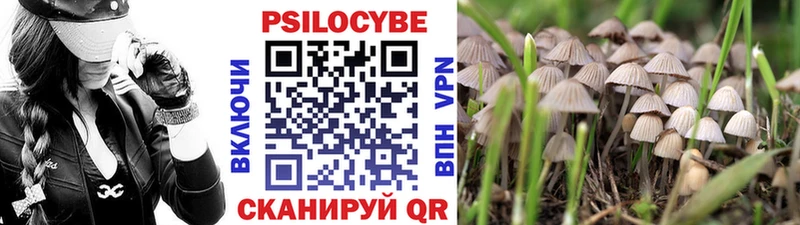 Галлюциногенные грибы Cubensis  Нефтекамск 